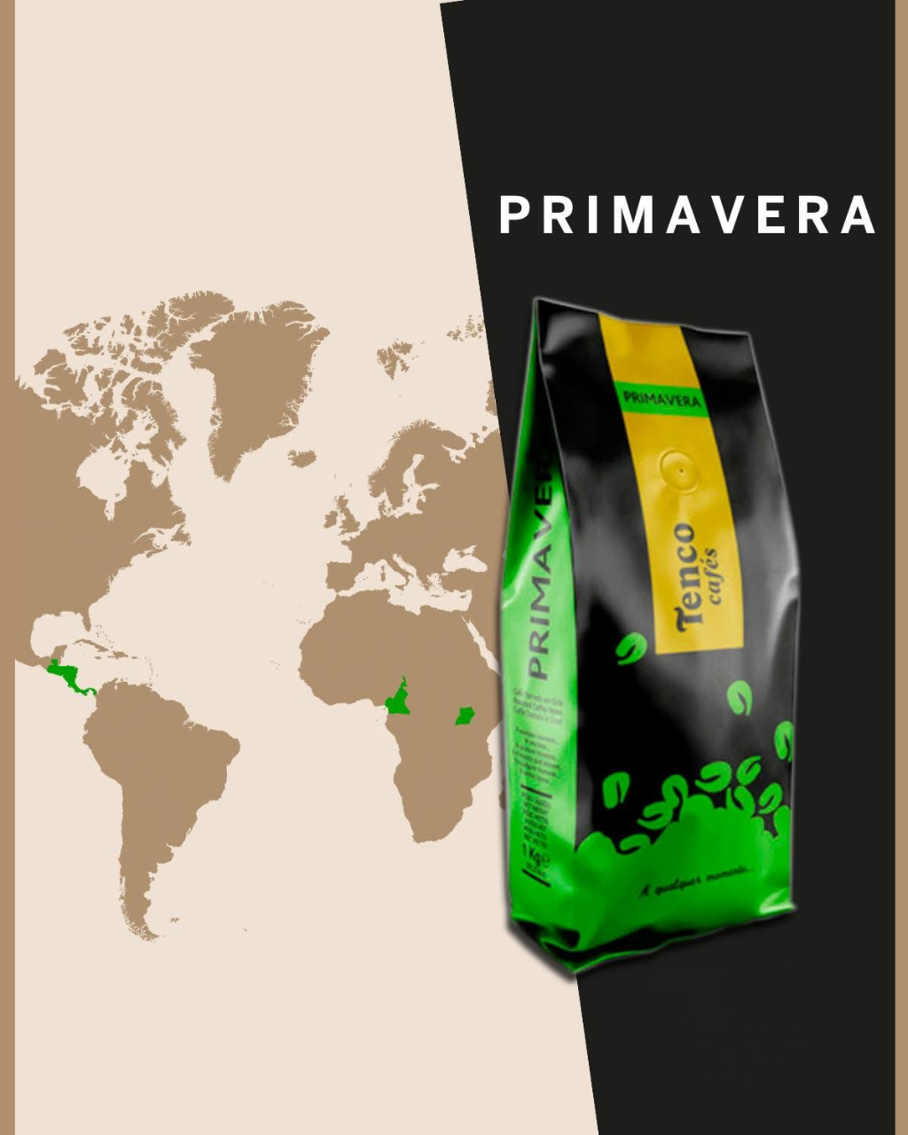 Pack DECOUVERTE Café PONTO NEGRO - PRIMAVERA