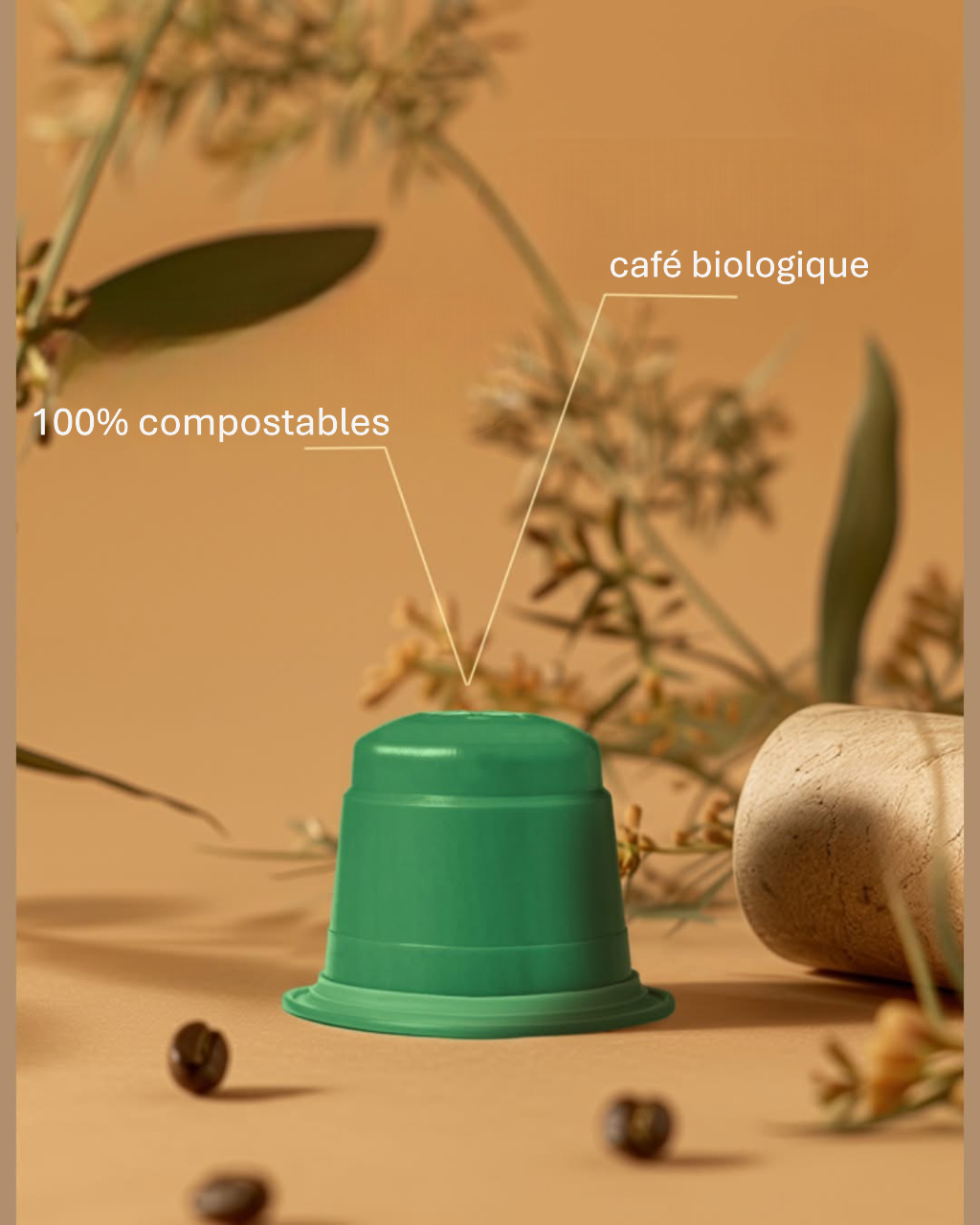Capsules BIO