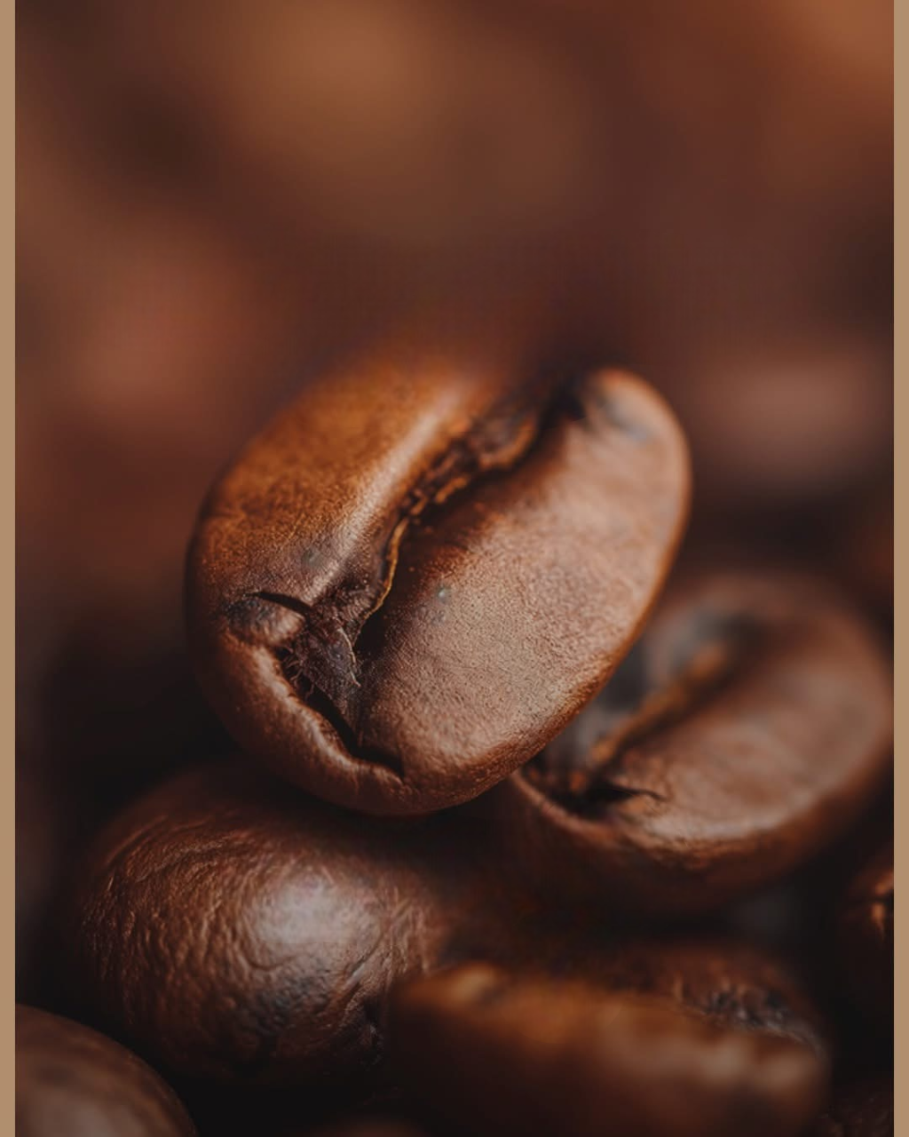 Café en grains LOTE VENDING