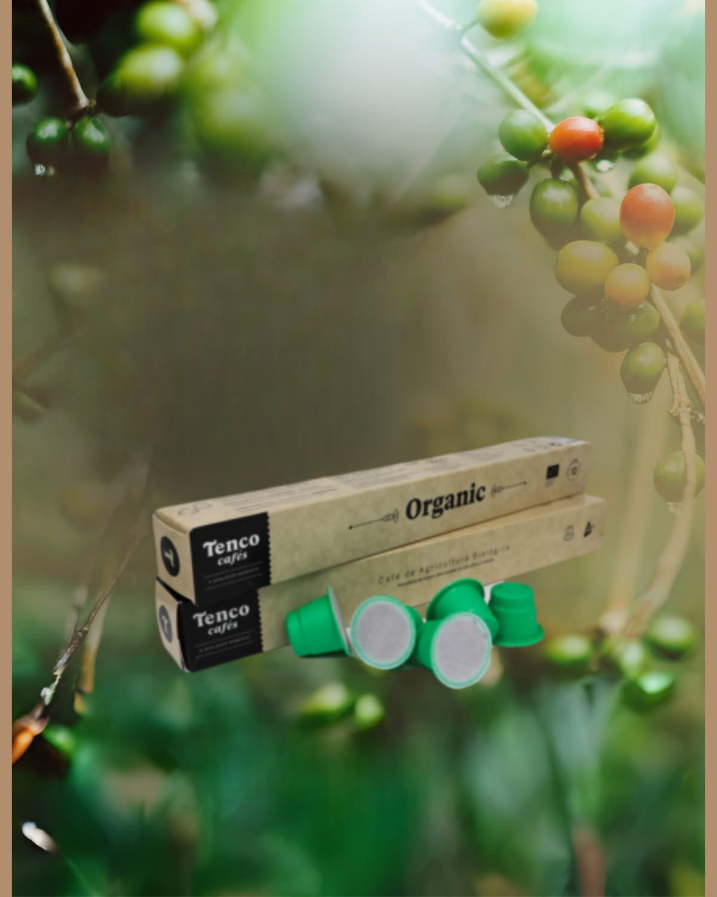 Capsules BIO